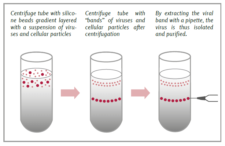 gradient-density-centrifugation
