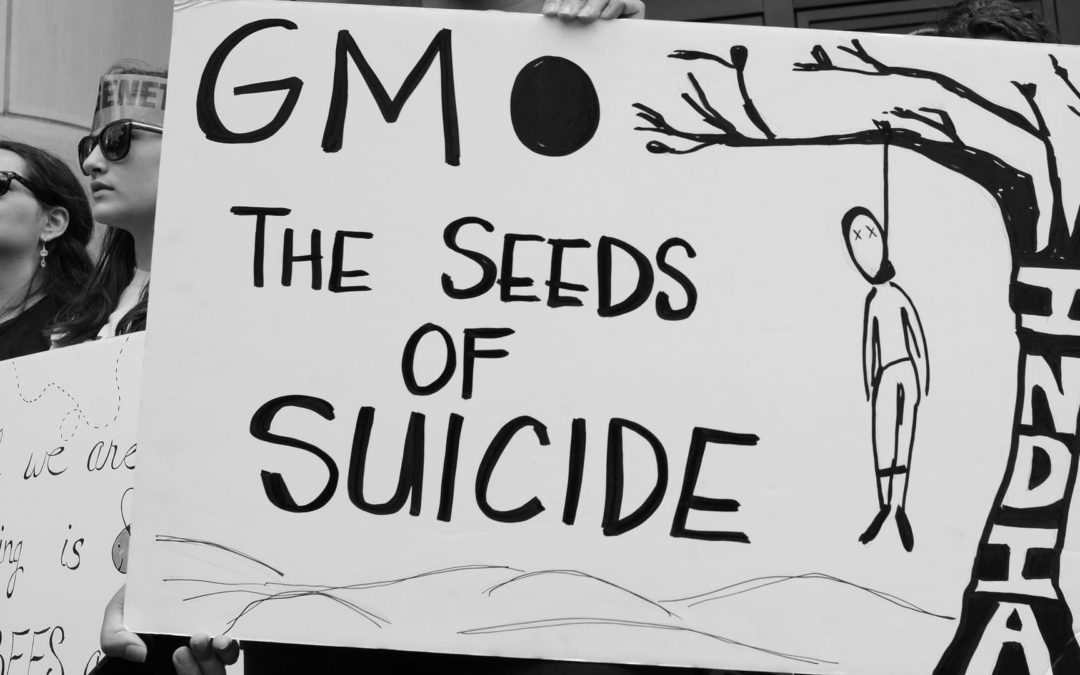 The Agriculture Cartel: Cotton, Concentration Camps and Conspiracies