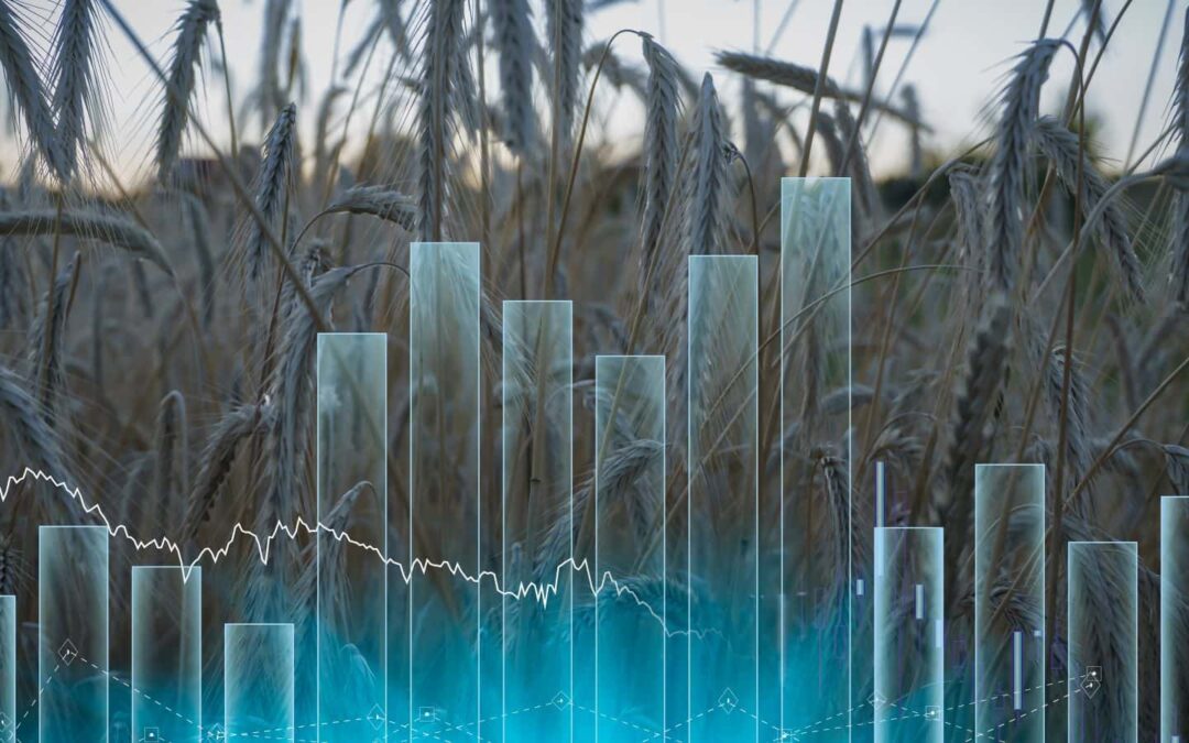 Food shortages and economic collapse: Ensuring US dominance?