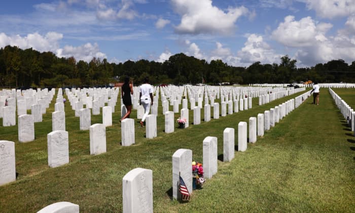 Deaths of young Americans increased last summer