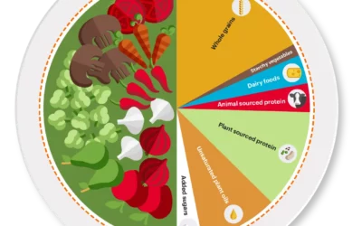 Introducing the “planetary health diet”: What is it really?