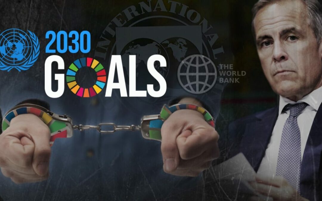 The shocking truth behind the UN’s “sustainable development” policies