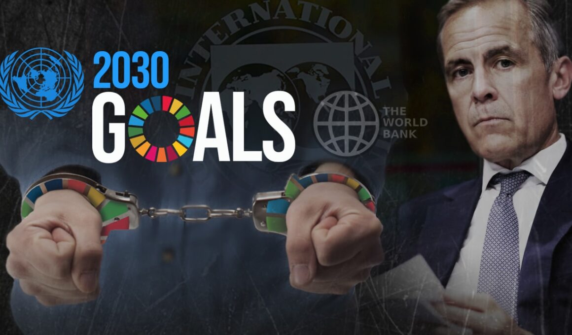 UN 2030 goals